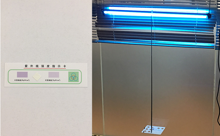紫外線強度指示卡